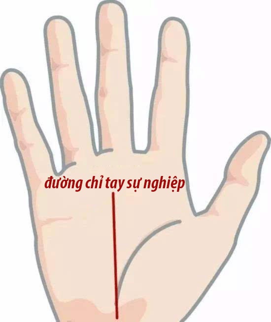 5 tướng tay báo hiệu chủ nhân tài giỏi hơn người, dễ có số làm quan 5 tuong tay bao hieu chu nhan tai gioi hon nguoi de co so lam quan