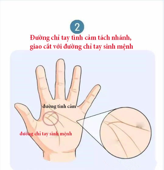 4 đường chỉ tay của người phụ nữ hạnh phúc vạn phần khi kết hôn muộn 4 duong chi tay cua nguoi phu nu hanh phuc van phan khi ket hon muon
