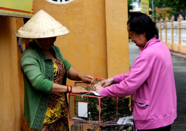 8 sai lam can tranh khi phong sinh mua vu lan