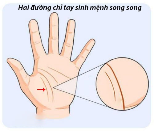 xem duong chi tay biet ngay nguoi truong tho phuc day menh lon it ai bang