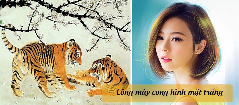 xem tuong mat 3 con giap vuong van quy nhan it ai sanh bang