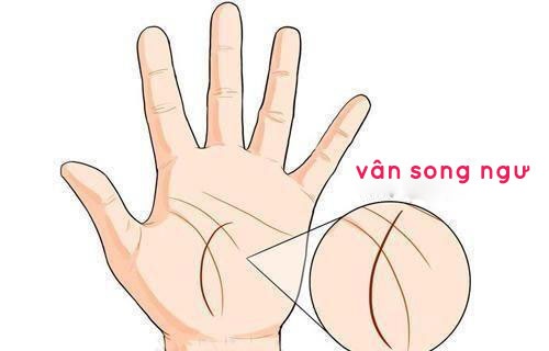 xem tuong tay kim cuong tuong mat vang muoi dem lai giau sang phu quy