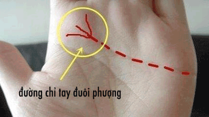3 duong chi tay may man dem lai phu quy giau sang khi ve gia
