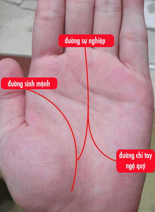 3 duong chi tay may man dem lai phu quy giau sang khi ve gia