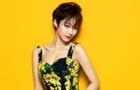 tu vi tuan moi 249 309 ve tai chinh cua 12 con giap tuoi mao thu loi lon