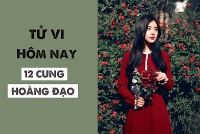 tu vi ngay mai 1110 ve cong viec cua 12 con giap tuoi thin gap thi phi