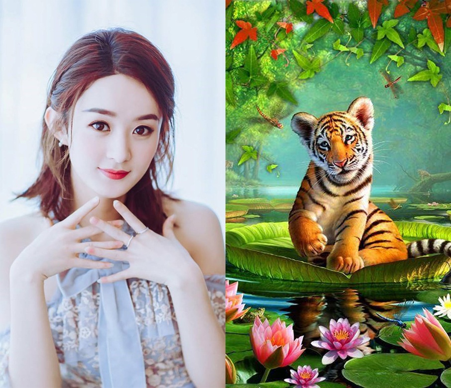 Tử vi năm 2019 gọi tên 3 con giáp nữ sự nghiệp thăng hoa tu vi nam 2019 goi ten ba con giap nu su nghiep thang hoa
