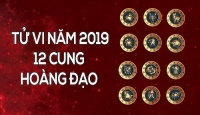 tu vi tuan moi 112 172 cua 12 cung hoang dao song ngu phan tich qua nhieu