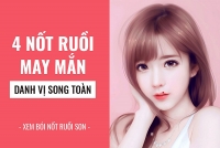 tu vi nhat ban 1311 cua 12 con giap tuoi than hap dan tuoi ty binh an