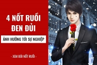 tu vi nhat ban 1311 cua 12 con giap tuoi than hap dan tuoi ty binh an
