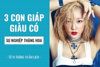 tu vi tuan moi 1211 1811 ve cong viec cua 12 con giap