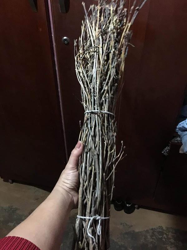 do quyen ngu dong loai hoa moi dang khien chi em phat sot cam 2 tuan la no ruc ro