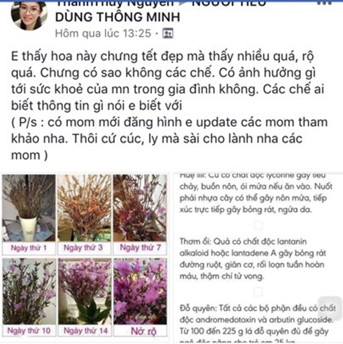 su that ve hoa do quyen ngu dong canh cui kho bi tam hoa chat