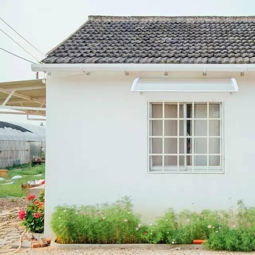 co gai 19 tuoi sua kho bo hoang thanh nha vuon xanh muot 74885