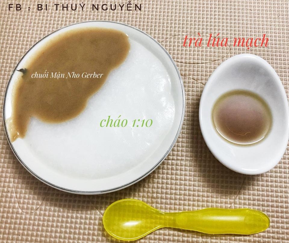 thuc don an dam kieu nhat 30 ngay dau cua em be 6 thang tuoi