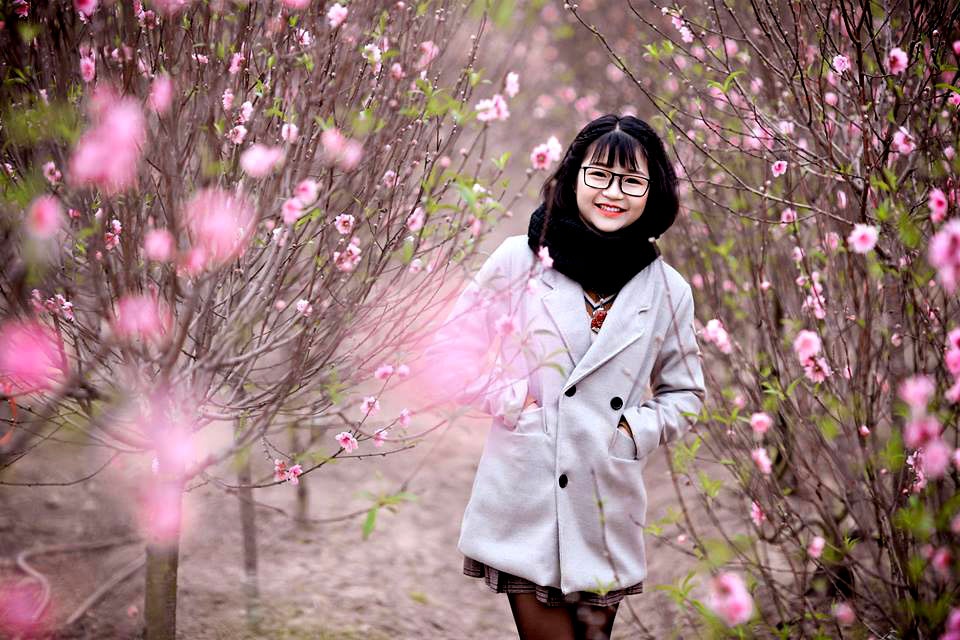 top nhung dia diem chup anh tet dep nhat nam 2019