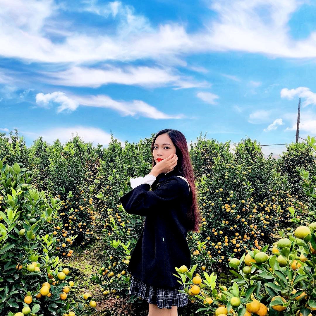 top nhung dia diem chup anh tet dep nhat nam 2019