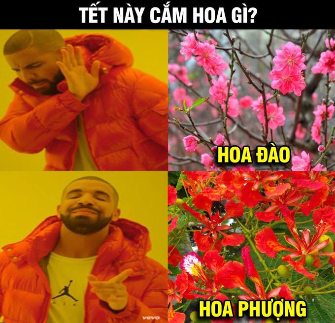 viet nam nhan con mua loi khen khi thang jordan vao tu ket asian cup 2019