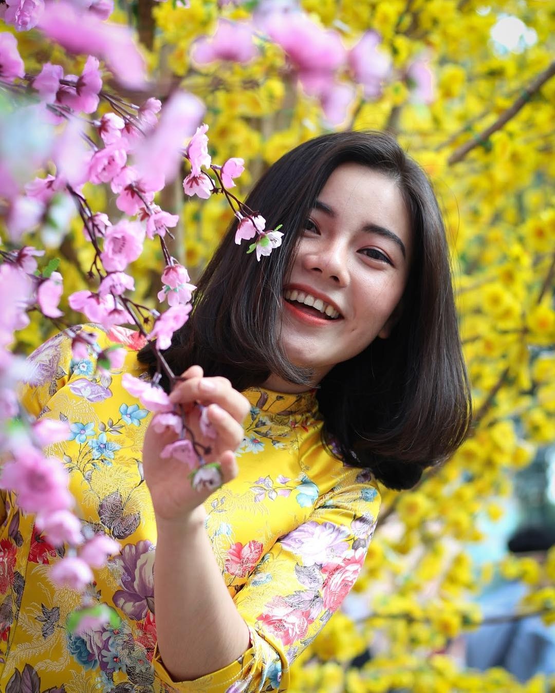top nhung dia diem chup anh tet dep nhat nam 2019