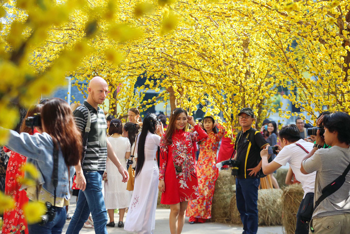 top nhung dia diem chup anh tet dep nhat nam 2019