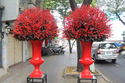 nhung binh hoa tet dat ngang xe may xin