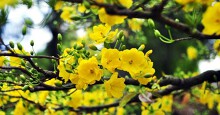 Bài cúng tất niên chiều 30 Tết theo 'Văn khấn cổ truyền Việt Nam'