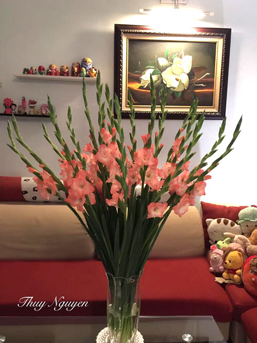 3 kieu cam hoa lay on mang khong khi tet ngap tran nha ban