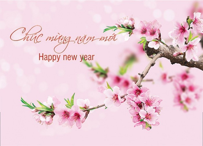 top loi chuc tet hay nhat 2019 va thiep chuc mung nam moi xuan ky hoi dep nhat