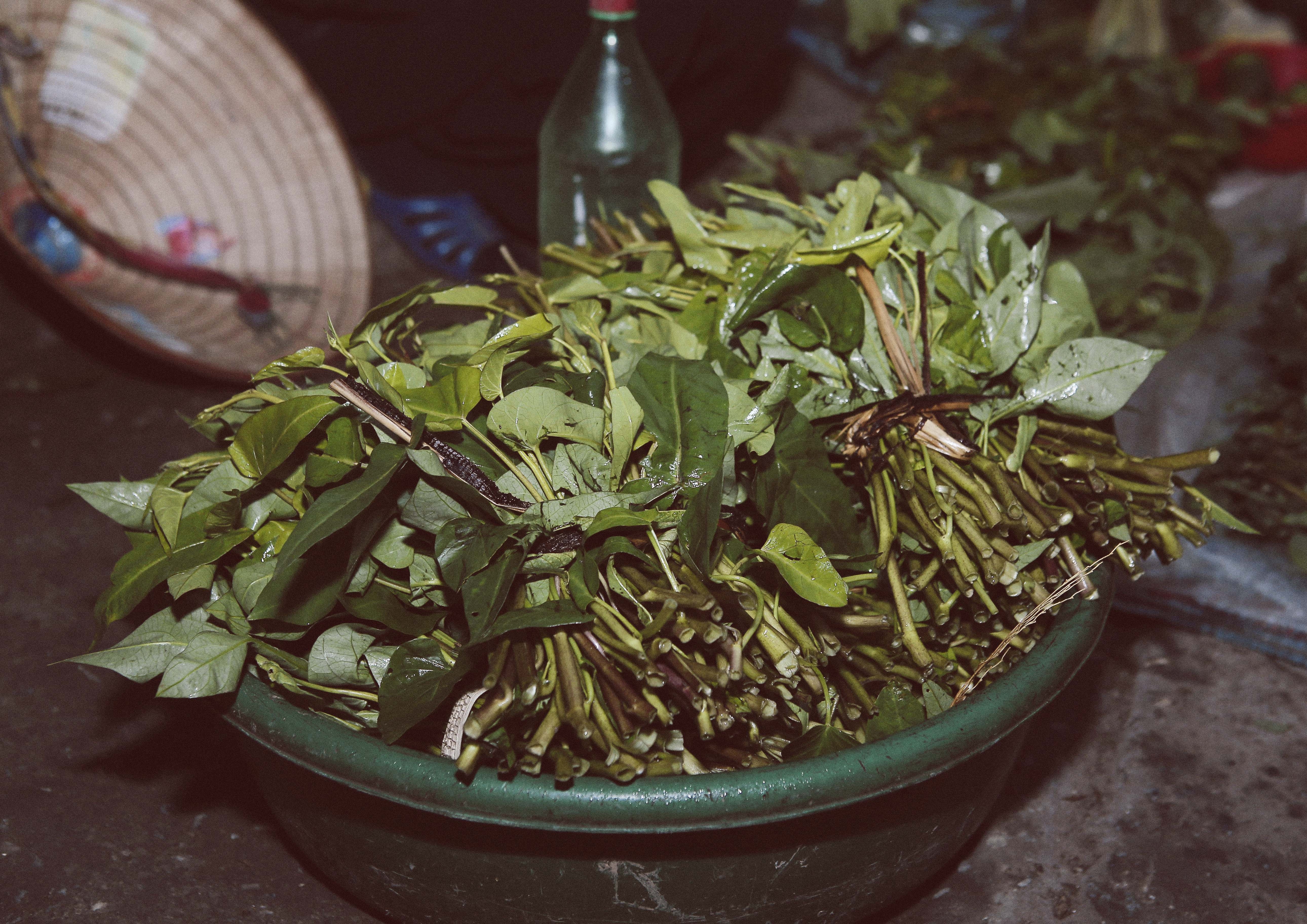 o noi mung 83 binh thuong nhu 364 ngay binh thuong khac