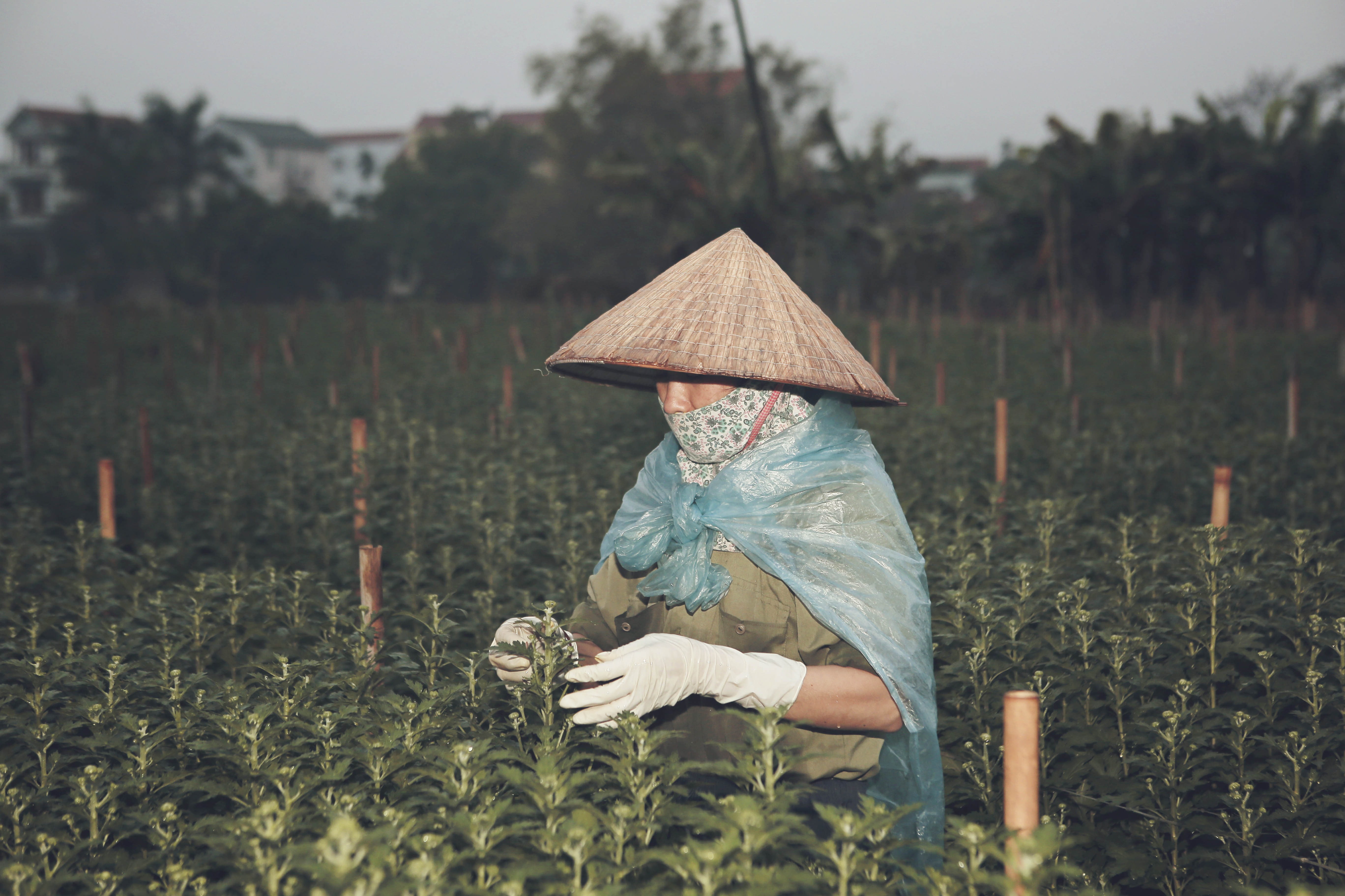 o noi mung 83 binh thuong nhu 364 ngay binh thuong khac