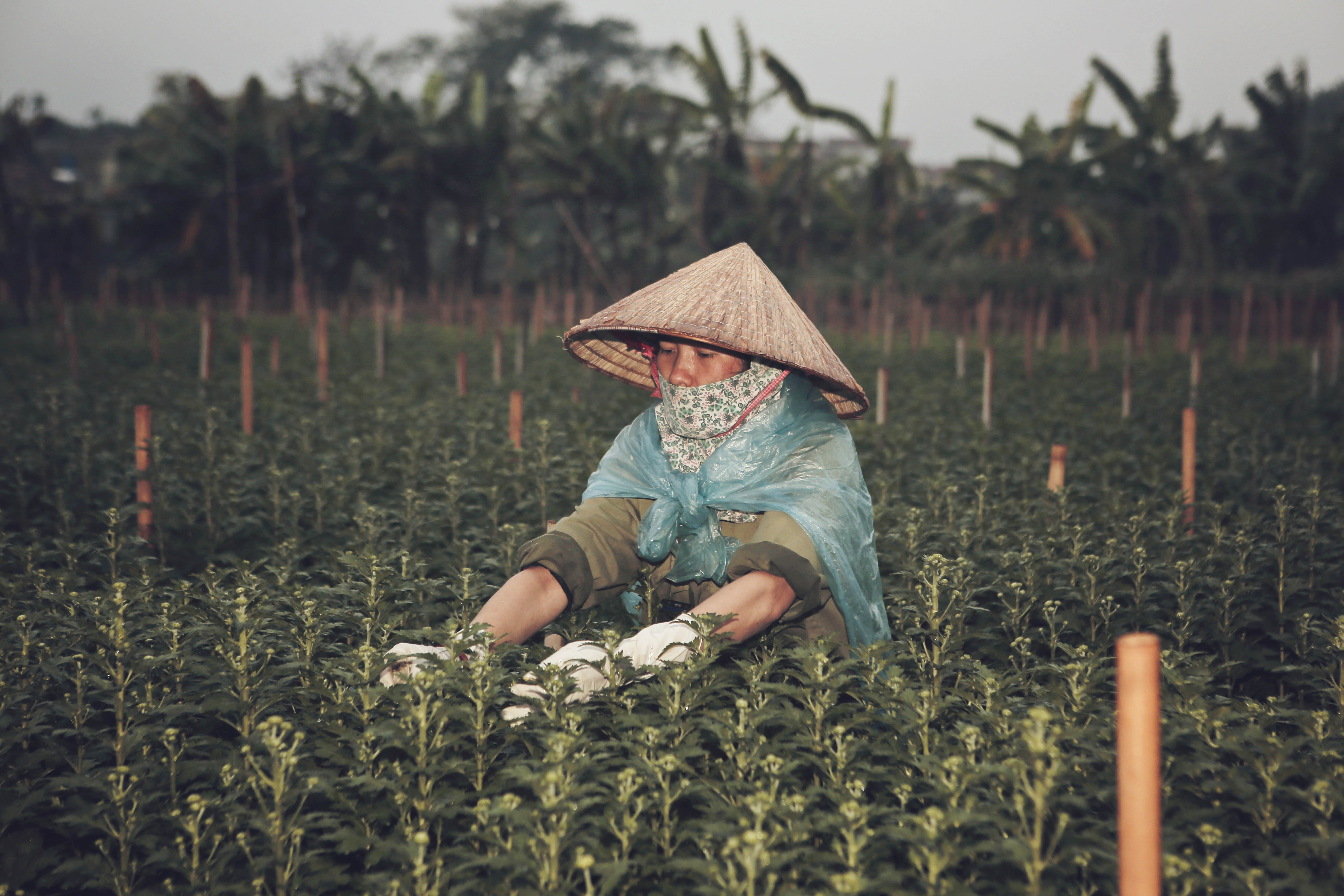 o noi mung 83 binh thuong nhu 364 ngay binh thuong khac