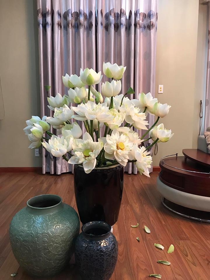 me cam hoa ba me hai phong chua khi nao phai cho nguoi khac tang hoa cho minh