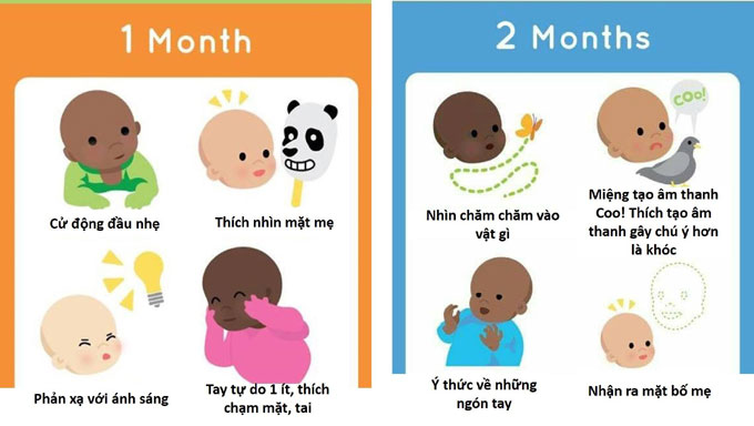 Các kỹ năng tương ứng với cột mốc phát triển trong năm đầu đời của trẻ cac ky nang tuong ung voi cot moc phat trien trong nam dau doi cua tre