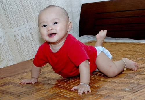 dong bim cho con den ham ca vung kin me van len mang hoi tai sao