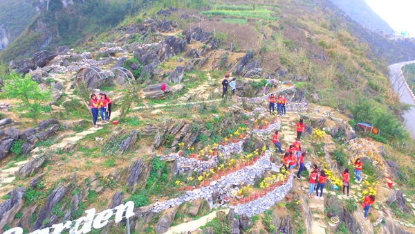Ông bố người Tày đầu tư 500 triệu đồng trồng hoa trên đồi đá ong bo nguoi tay dau tu 500 trieu dong trong hoa tren doi da