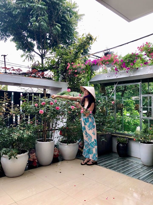 Chim hót líu lo trong góc sân kín hoa hồng của nữ kế toán Hà Nội chim hot liu lo trong goc san kin hoa hong cua nu ke toan ha noi