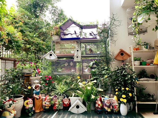 Chim hót líu lo trong góc sân kín hoa hồng của nữ kế toán Hà Nội chim hot liu lo trong goc san kin hoa hong cua nu ke toan ha noi