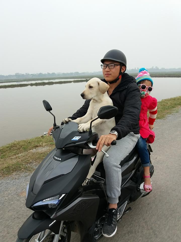 nguoi yeu khong co nhung cho nhat dinh phai co 1 con