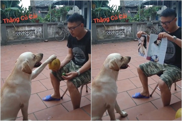 nguoi yeu khong co nhung cho nhat dinh phai co 1 con
