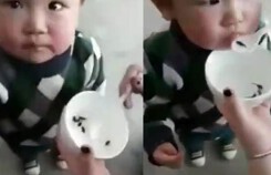 Mẹ cho con ăn nòng nọc sống để khỏe mạnh