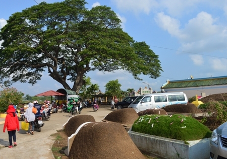 tet thanh minh o 3 mien noi thu loc ben phan mo noi tat bat trang tri ngoi nha to tien