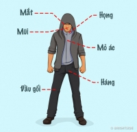 cach nao ung pho voi mong vuot yeu rau xanh