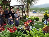 nguoi sai gon tap nap tao mo dip tet