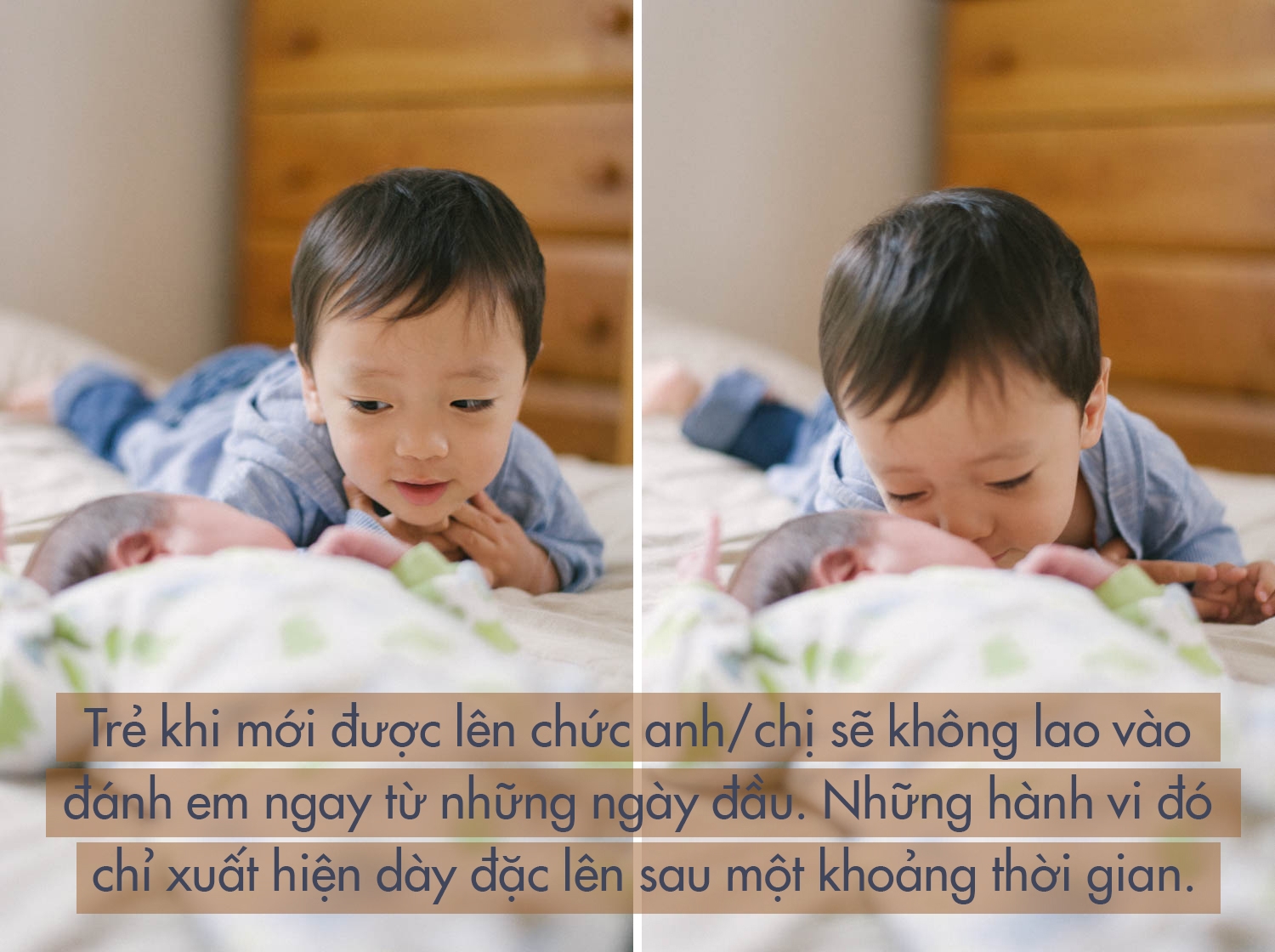 tai sao con danh em