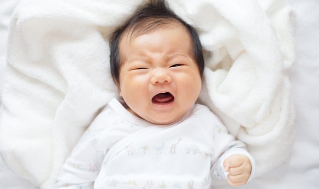 gan bo me con dac diem quan trong cua nhung nam dau doi