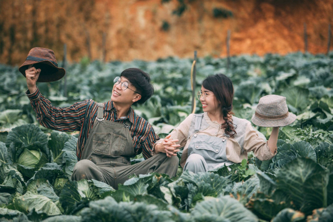 anh cuoi giua canh dong bap cai don tim nguoi xem