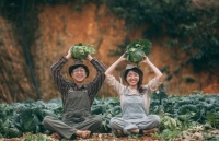 7 loi ich suc khoe dang ngac nhien cua bap cai tim