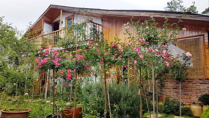 gia dinh da lat song trong nha go giua vuon hong 1000 m2 115723