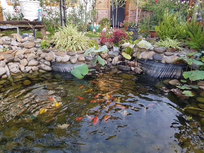 gia dinh da lat song trong nha go giua vuon hong 1000 m2 115723