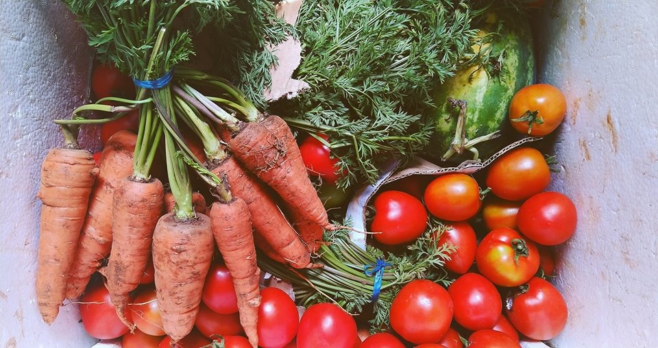Mỗi ngày uống 1 loại nước ép rau củ, cô gái sở hữu làn da sáng mịn, tươi trẻ moi ngay uong 1 loai nuoc ep rau cu co gai so huu lan da sang min tuoi tre